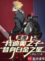 美漫:我迪奥之子,替身白金之星