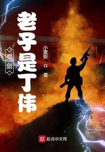 亮剑:老子是丁伟