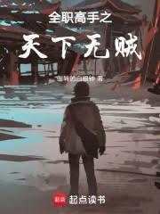 全职高手之天下无贼