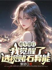 被车撞后,我觉醒了透视赌石异能