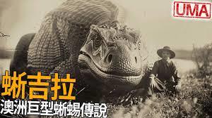 从蜥蜴进化为传说巨龙