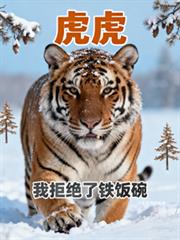 虎虎我拒绝了铁饭碗