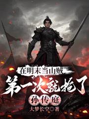 在明末当山贼第一次就抢了孙传庭