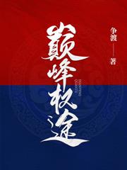 权力巅峰:从省府秘书开始