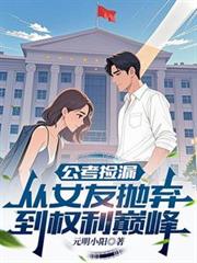 公考捡漏:从女友拋弃到权利巅峰