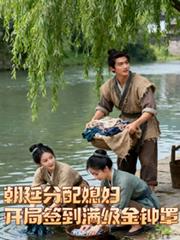 朝廷分配媳妇开局签到满级金钟罩