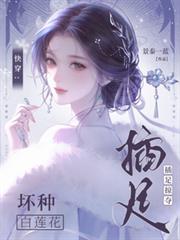 快穿:坏种白莲花【插足掠夺】