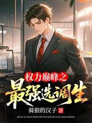 权力巅峰之最强选调生