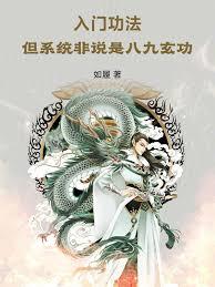 入门功法,但系统非说是八九玄功